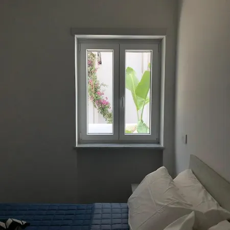 Apartment Casa Flavia