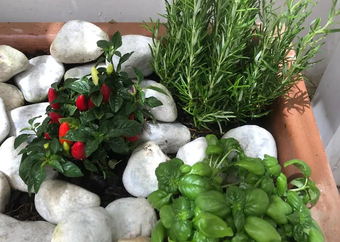 アパート Casa Flavia *